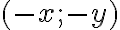 (-x; -y)
