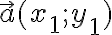 \vec{a}(x_1; y_1)