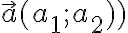 \vec{a}(a_1; a_2))