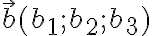 \vec{b}(b_1;b_2;b_3)