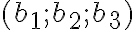 (b_1;b_2;b_3)