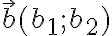 \vec{b}(b_1;b_2)